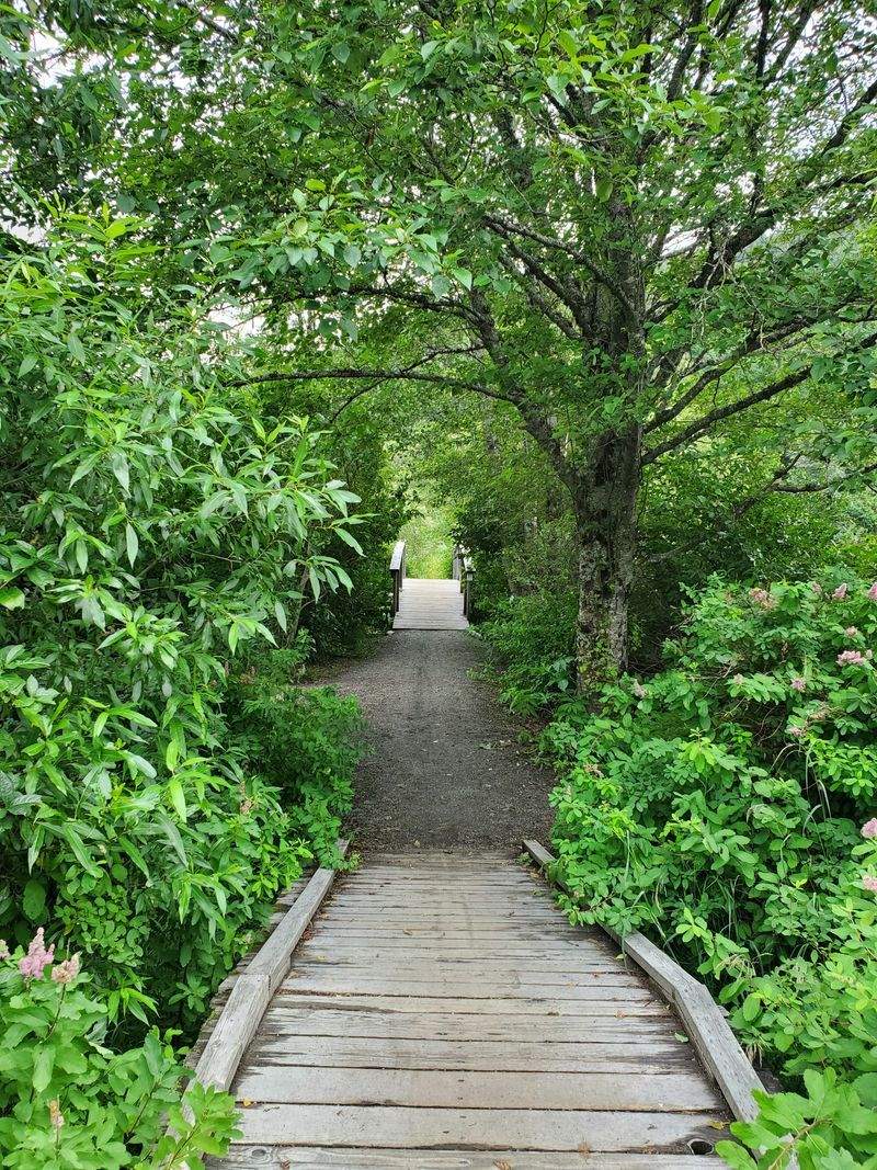Jardins Harmonie Provence 1