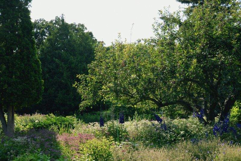 Jardins Harmonie Provence 12